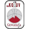 https://img.bgisites.com/img/basketball/team/4b06fe02aaa7da5901e5698485059da0.png