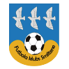 https://img.bgisites.com/img/football/team/259a1106a33b56d2bb3c458a62ffa2ea.png