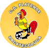 https://img.bgisites.com/img/football/team/63b0933cc303927659846a4ed54b1522.png