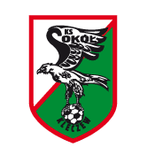 https://img.bgisites.com/img/football/team/e6a8908dd206e2ea02d9803c82c60bba.png